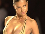 Adriana Lima Celebrity Image 261671024 x 768