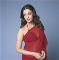 Aishwarya Rai Celebrity Image 267721280 x 1281