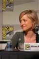 Allison Mack Celebrity Image 29486683 x 1024