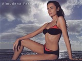 Almudena Fernandez Celebrity Image 295201024 x 768