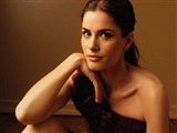 Amanda Peet Celebrity Image 14451024 x 768