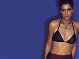 Amanda Peet Celebrity Image 14481024 x 768