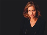 Amanda Peet