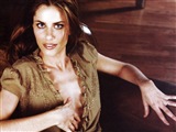 Amanda Peet Celebrity Image 305981024 x 768