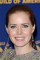 Amy Adams Celebrity Image 314831280 x 1910