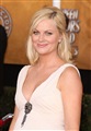 Amy Poehler Celebrity Image 17451280 x 1836