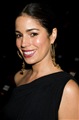 Ana Ortiz Celebrity Image 328261280 x 1935