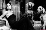Angelina Jolie Celebrity Image 333471280 x 849
