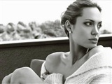 Angelina Jolie Celebrity Image 333591024 x 768