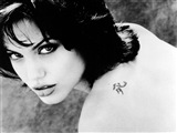 Angelina Jolie Celebrity Image 334351024 x 768