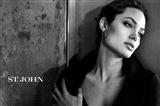 Angelina Jolie Celebrity Image 334651280 x 848