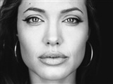 Angelina Jolie Celebrity Image 334831024 x 768