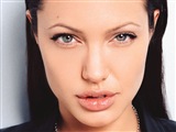 Angelina Jolie Celebrity Image 335251024 x 768