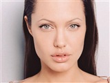 Angelina Jolie Celebrity Image 335491024 x 768