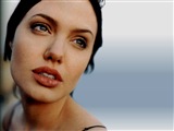 Angelina Jolie Celebrity Image 335641024 x 768