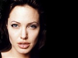 Angelina Jolie Celebrity Image 335651024 x 768