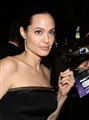 Angelina Jolie Celebrity Image 336571280 x 1707