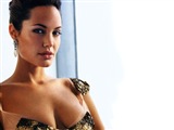 Angelina Jolie Celebrity Image 336951024 x 768