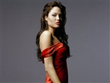 Angelina Jolie Celebrity Image 340581024 x 768