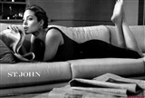 Angelina Jolie Celebrity Image 340591280 x 870