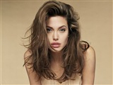 Angelina Jolie Celebrity Image 341241024 x 768