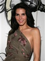 Angie Harmon Celebrity Image 22611280 x 1731