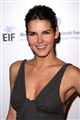 Angie Harmon