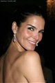 Angie Harmon