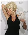 Anna Nicole Smith Celebrity Image 352821280 x 1621