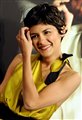 Audrey Tautou Celebrity Image 387631280 x 1857