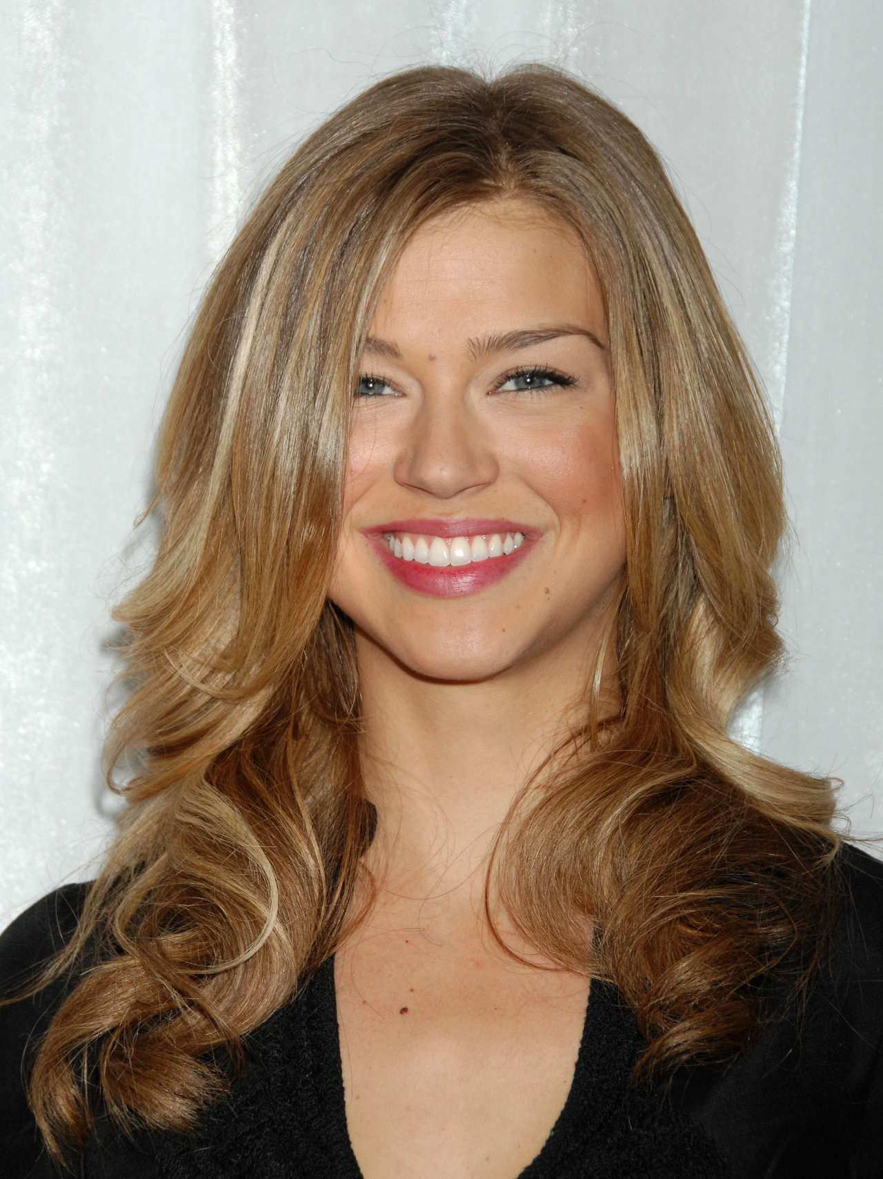 Adrianne Palicki