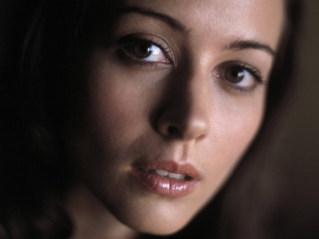 Amy Acker - Gallery Colection