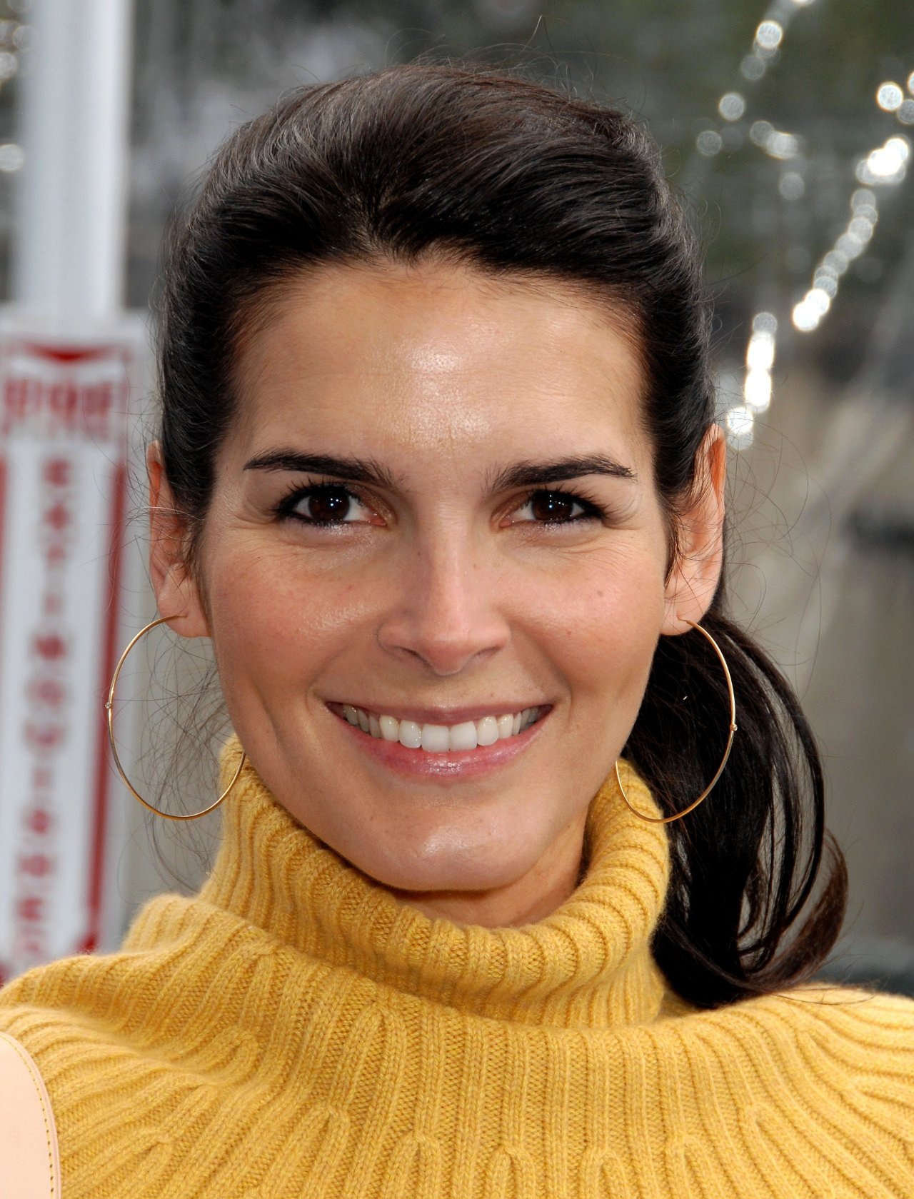 Angie Harmon