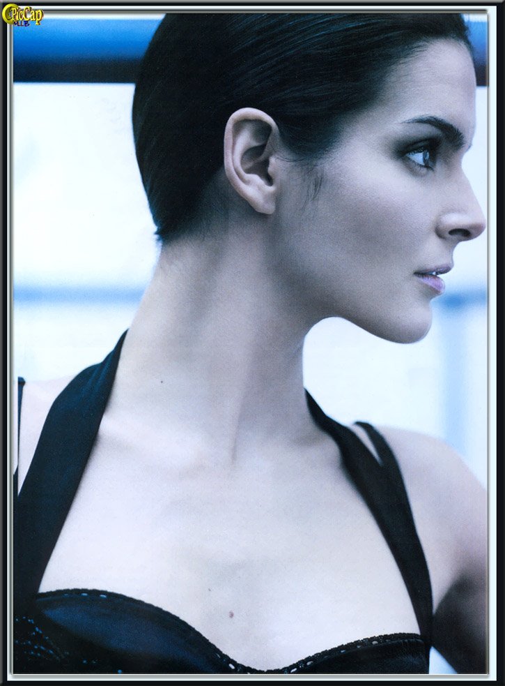 Angie Harmon